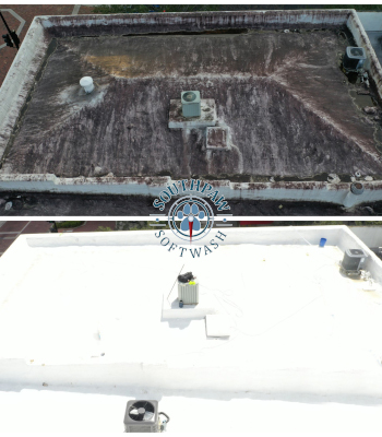Roof Cleaning in Charleston, South Carolina