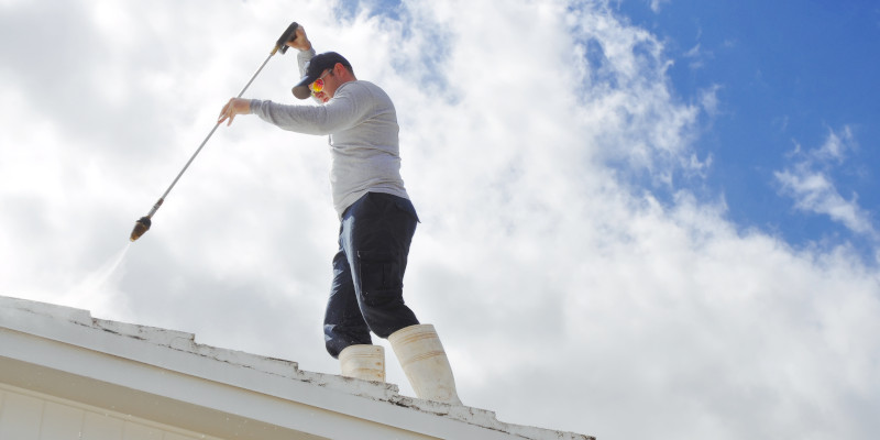 Asphalt Shingle Cleaning in Charleston, South Carolina