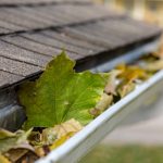 Gutter Clean-Out in Charleston, South Carolina