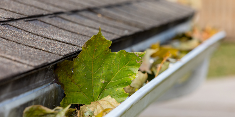 Gutter Clean-Out in Charleston, South Carolina