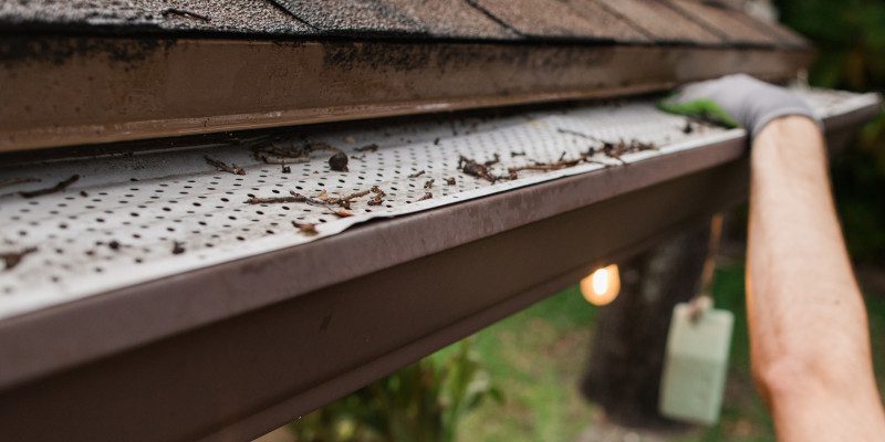 Gutter Cleaning in Daniel Island, South Carolina
