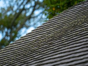 Tips and Tricks to Prepare for Roof Cleaning