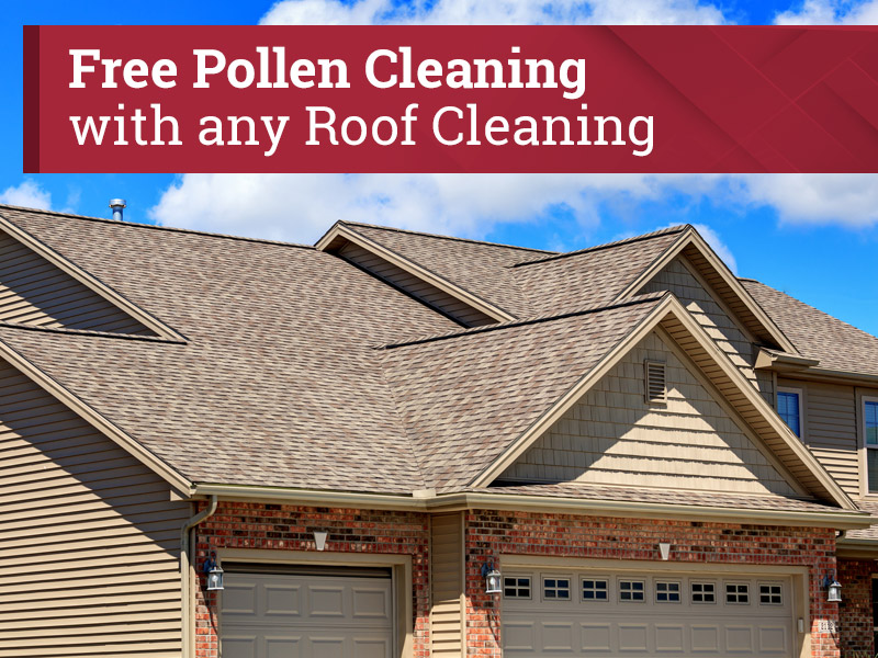 Free-Pollen-Cleaning