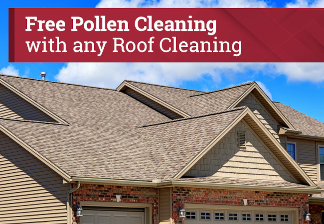 Free-Pollen-Cleaning