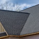 Special Offer: Free Roof Maintenance Consultation!