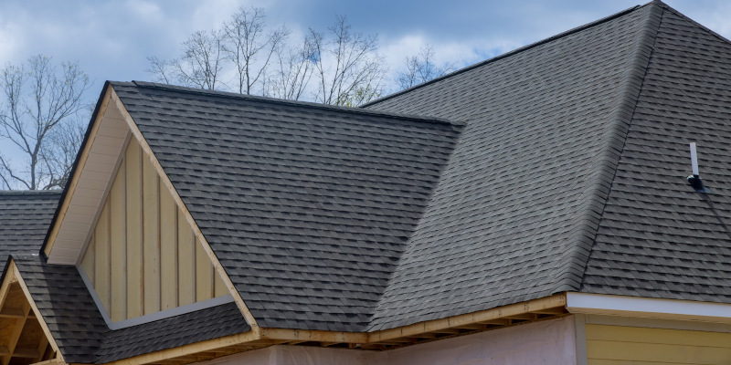 Special Offer: Free Roof Maintenance Consultation!