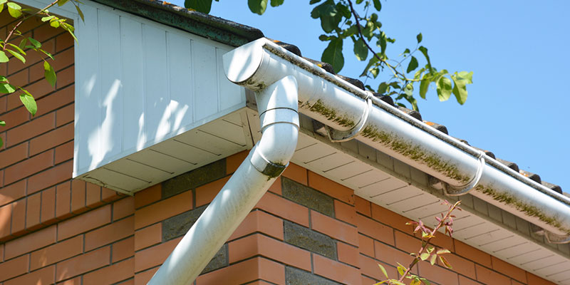 Why You Should Leave the Gutter Cleaning to the Professionals