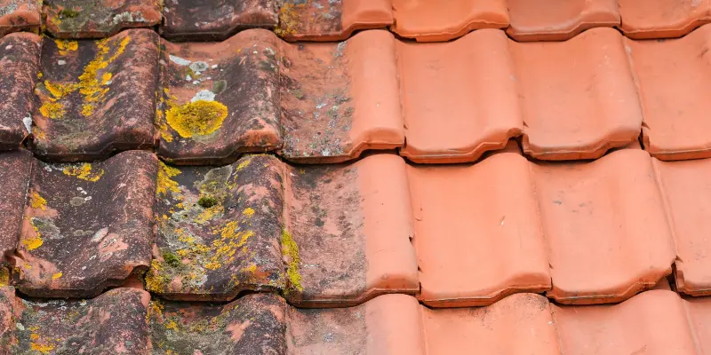 Why is Roof Washing Important?