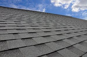 The Role of Roof Cleaning in Protecting Shingle Life
